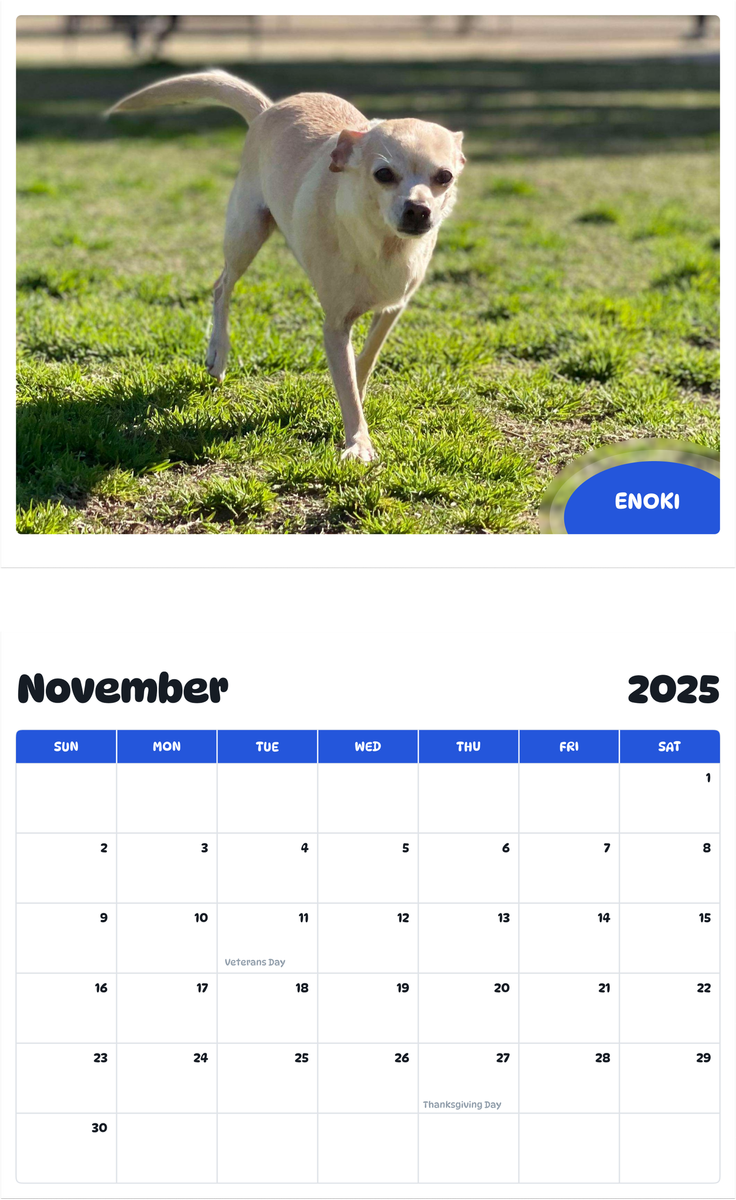 July 2025 - June 2026 Enoki - Pawidols Pet Calendar