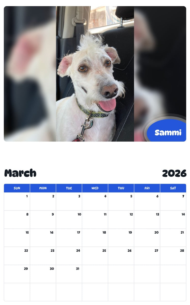 November 2025 - October 2026 Sammi - Pawidols Pet Calendar
