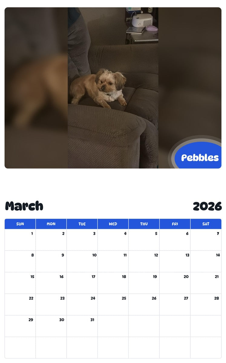 November 2025 - October 2026 Pebbles - Pawidols Pet Calendar