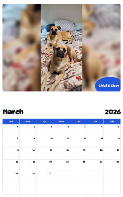 November 2025 - October 2026 Chief & Cissy - Pawidols Pet Calendar