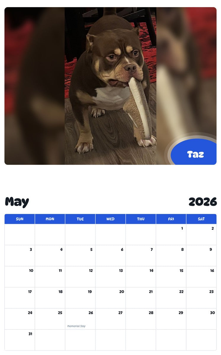 2026 - 2027 Taz - Pawidols Pet Calendar