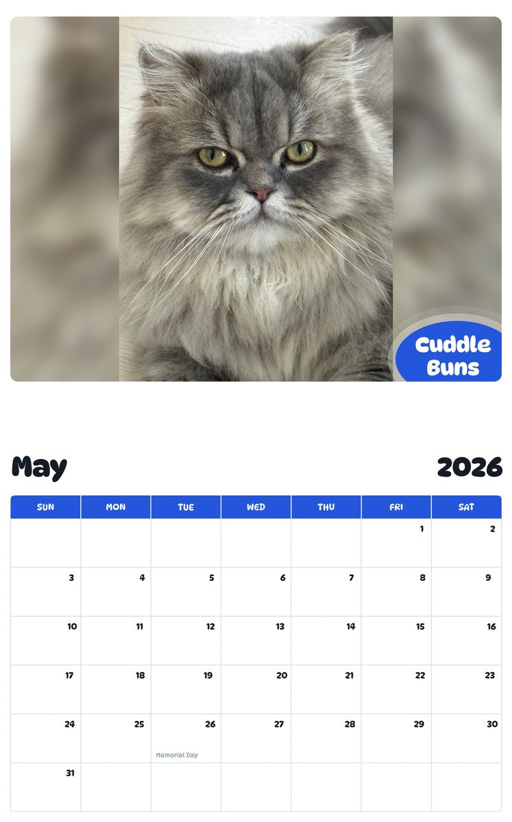 2026 - 2027 Cuddle Buns - Pawidols Pet Calendar