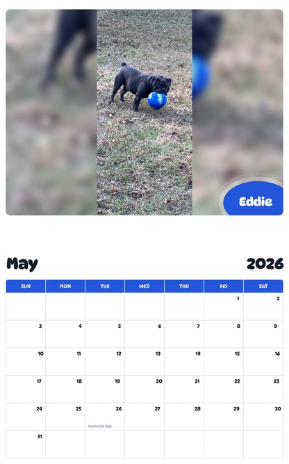 2026 - 2027 Eddie - Pawidols Pet Calendar