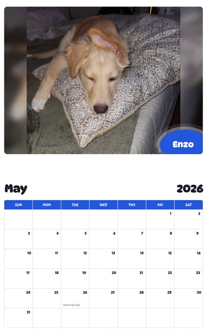 2026 - 2027 Enzo - Pawidols Pet Calendar