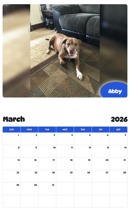 November 2025 - October 2026 Abby - Pawidols Pet Calendar
