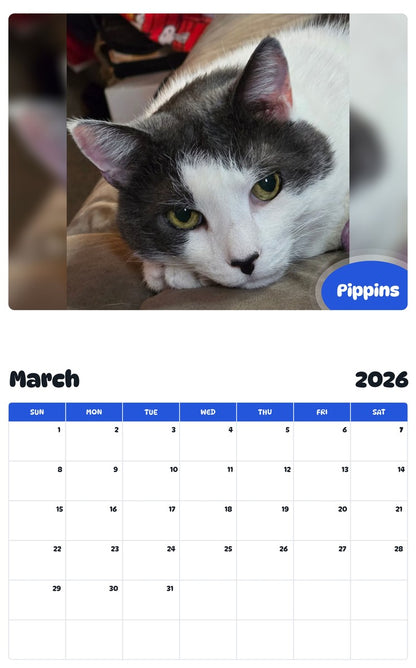 November 2025 - October 2026 Pippins - Pawidols Pet Calendar