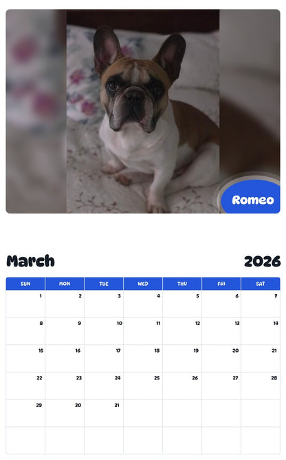 November 2025 - October 2026 Romeo - Pawidols Pet Calendar