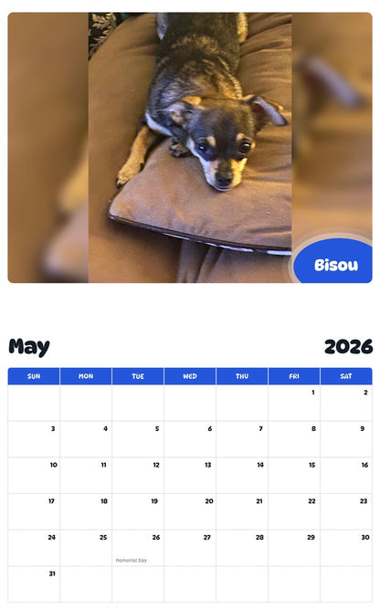 2026 - 2027 Bisou - Pawidols Pet Calendar
