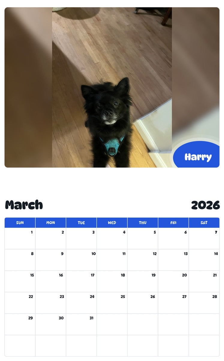 November 2025 - October 2026 Harry - Pawidols Pet Calendar