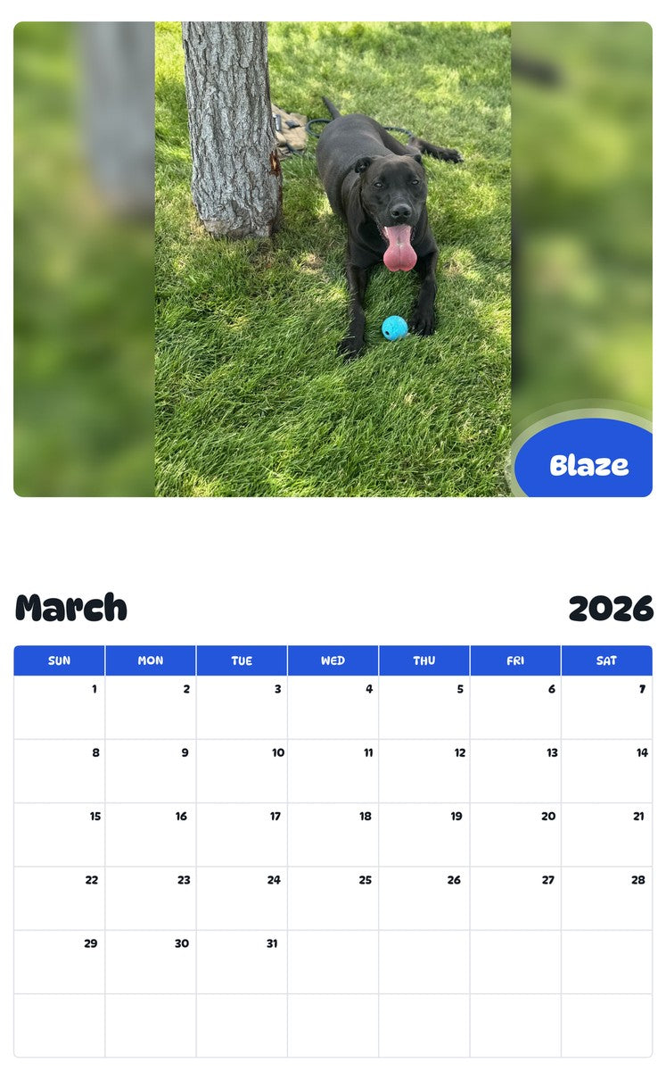 November 2025 - October 2026 Blaze - Pawidols Pet Calendar