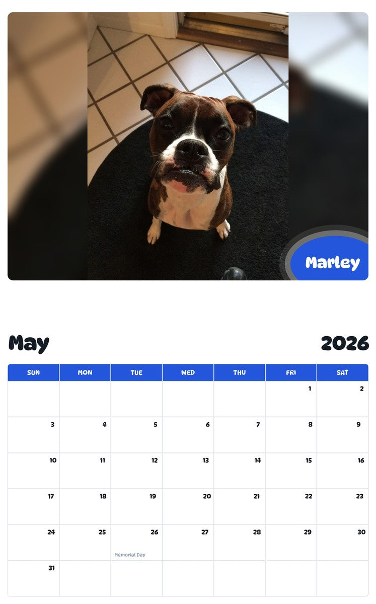2026 - 2027 Marley - Pawidols Pet Calendar