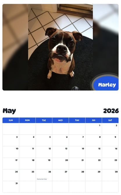 2026 - 2027 Marley - Pawidols Pet Calendar