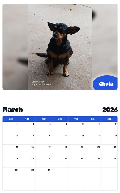 November 2025 - October 2026 Chula - Pawidols Pet Calendar