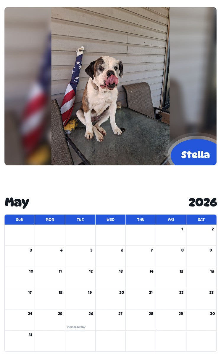 2026 - 2027 Stella - Pawidols Pet Calendar