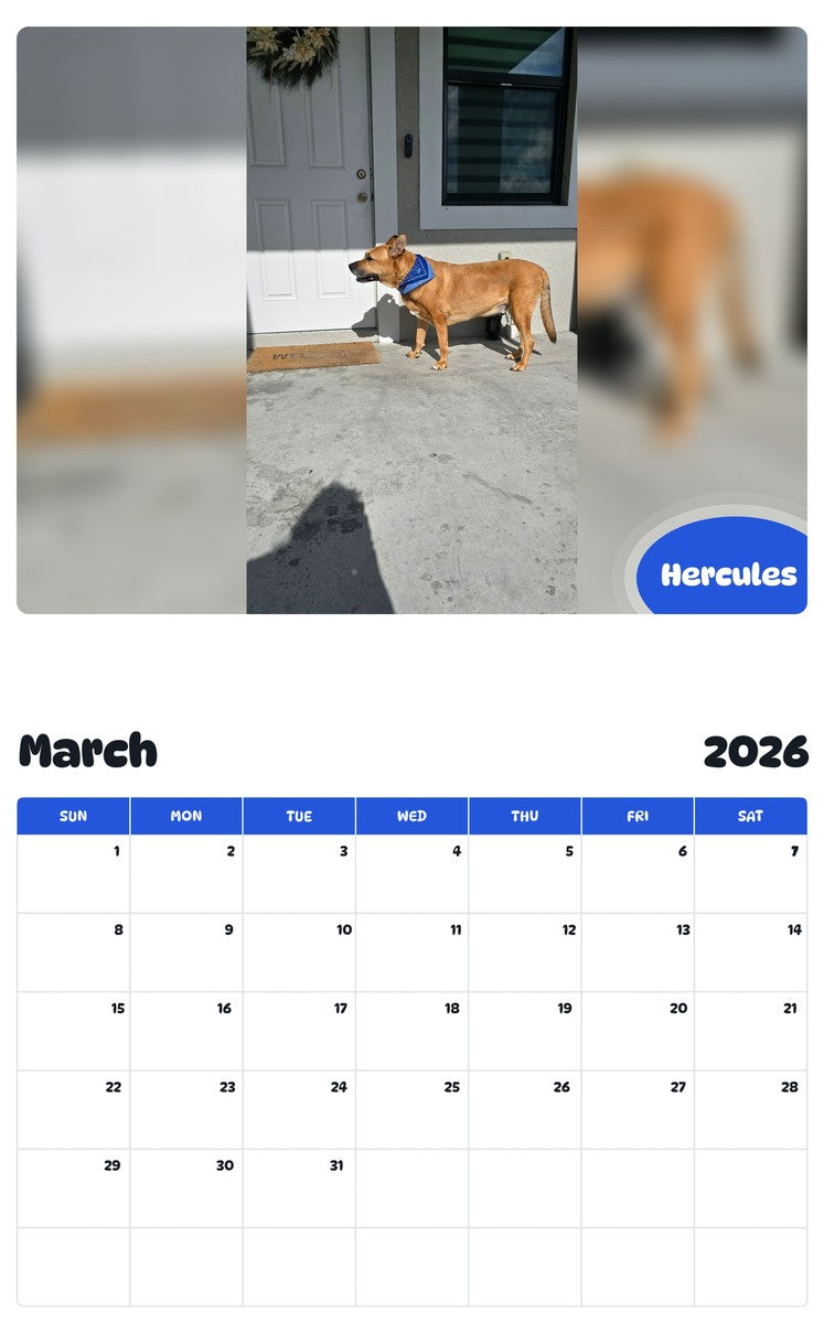 November 2025 - October 2026 Hercules - Pawidols Pet Calendar