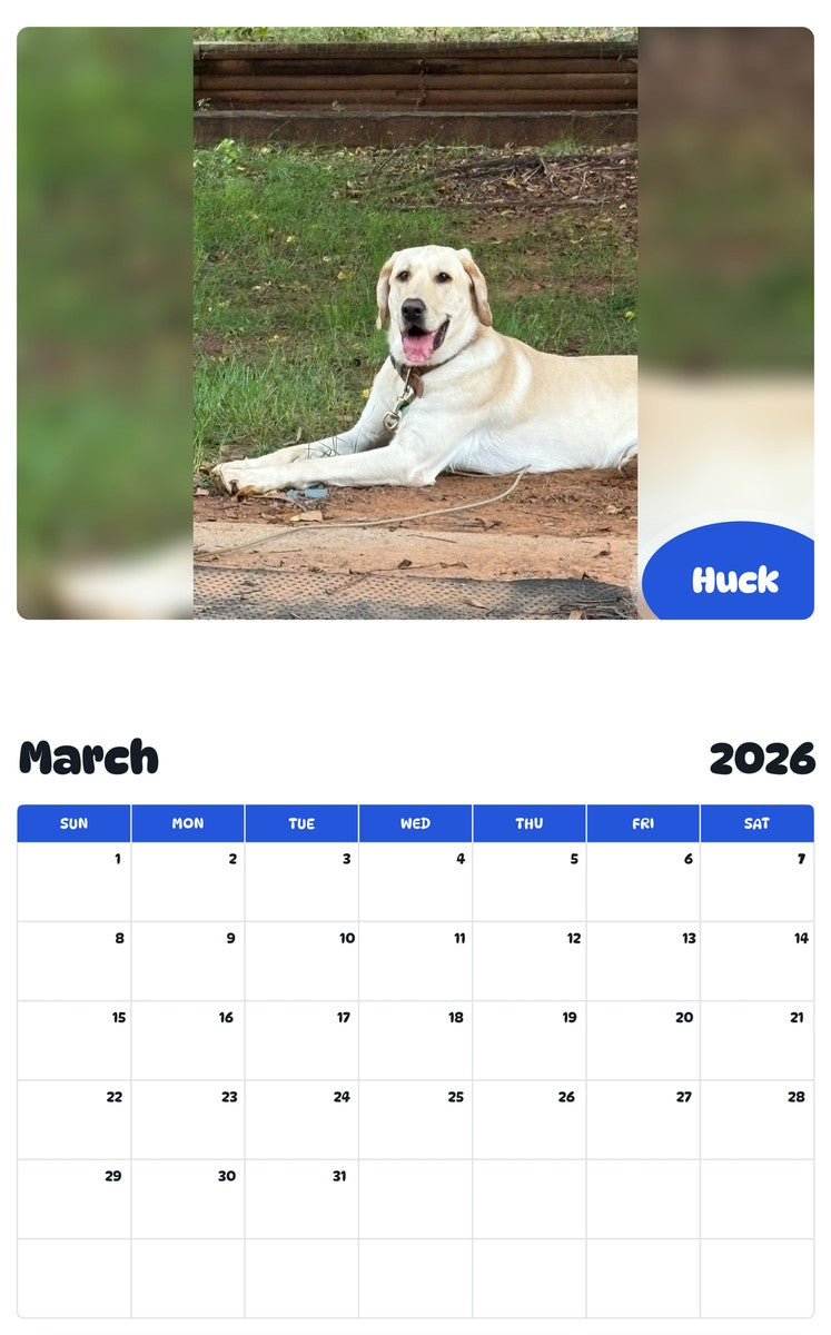 November 2025 - October 2026 Huck - Pawidols Pet Calendar
