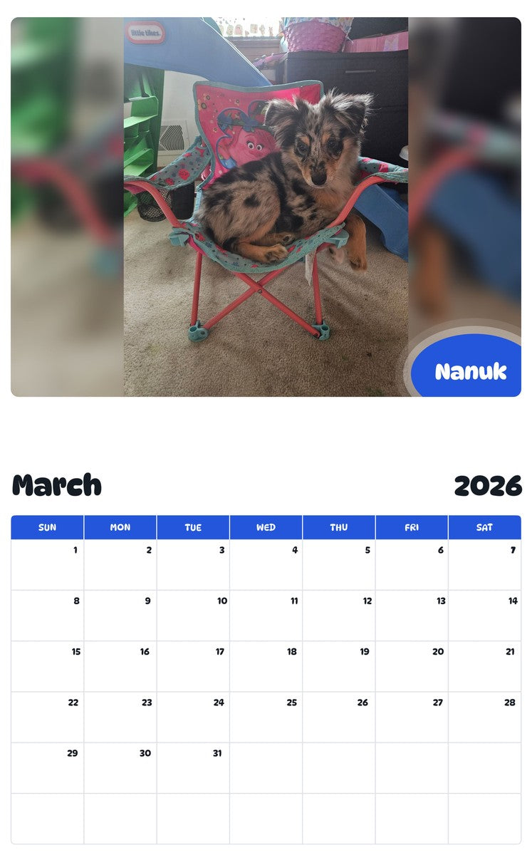 November 2025 - October 2026 Nanuk - Pawidols Pet Calendar