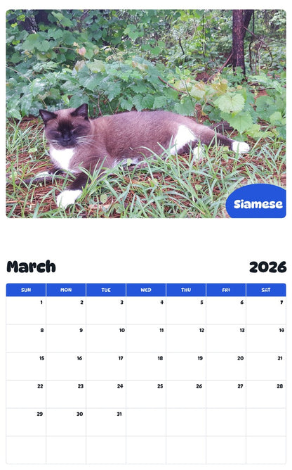 November 2025 - October 2026 Siamese - Pawidols Pet Calendar