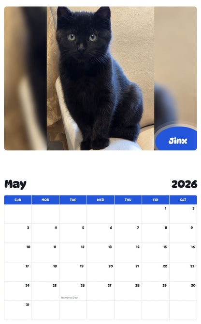2026 - 2027 Jinx - Pawidols Pet Calendar