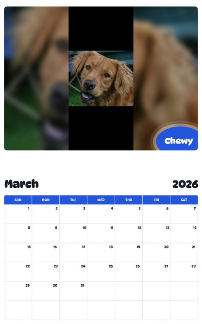 November 2025 - October 2026 Chewy - Pawidols Pet Calendar