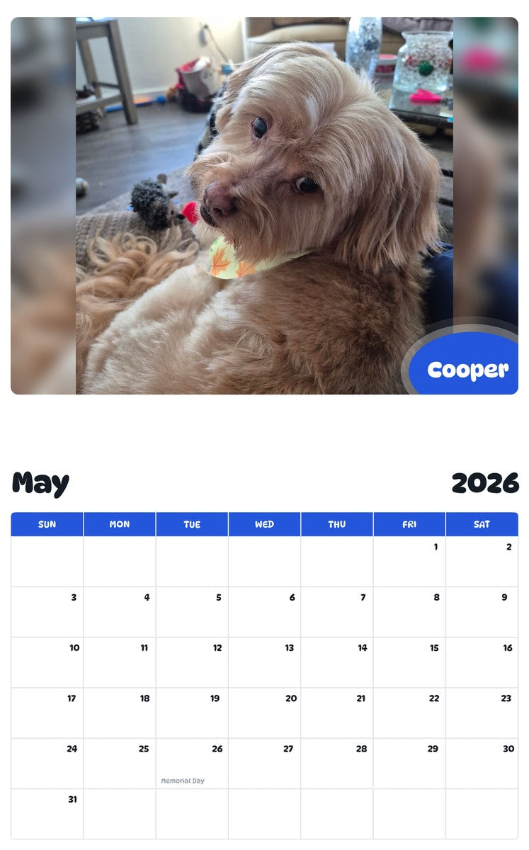 2026 - 2027 Cooper - Pawidols Pet Calendar