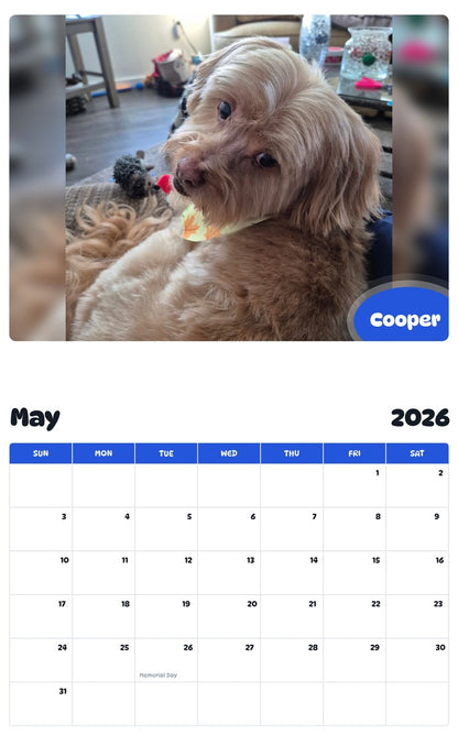 2026 - 2027 Cooper - Pawidols Pet Calendar