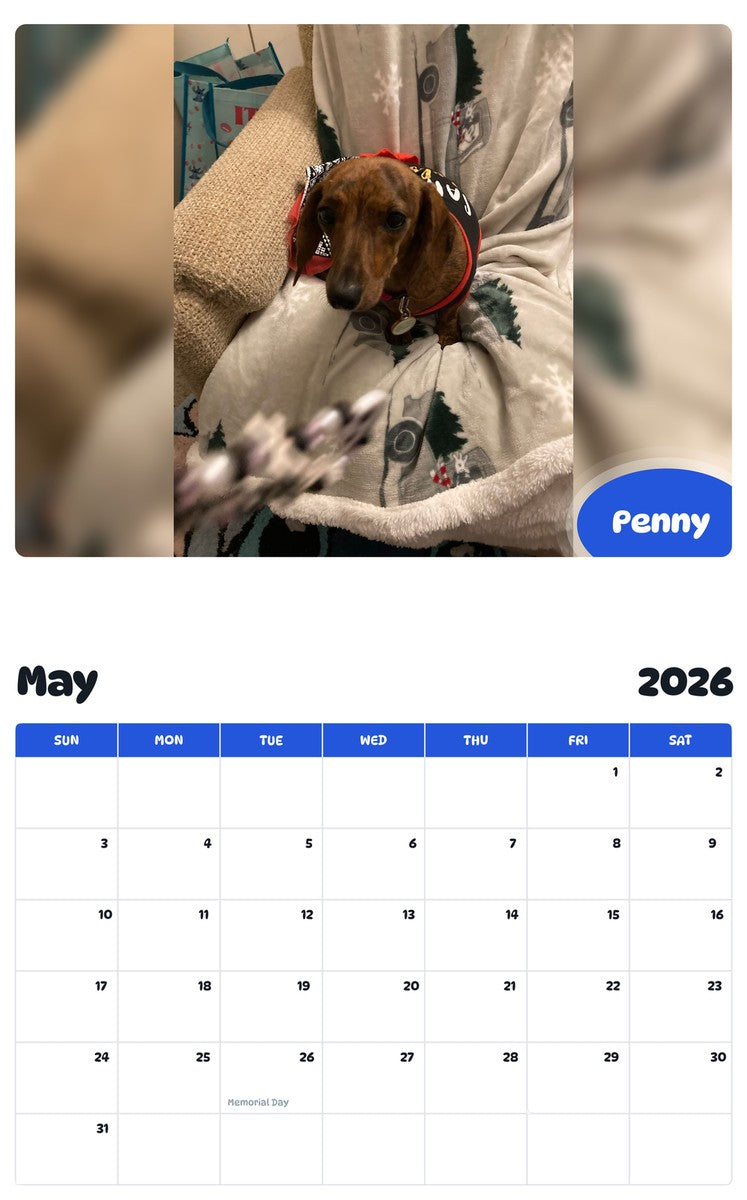2026 - 2027 Penny - Pawidols Pet Calendar