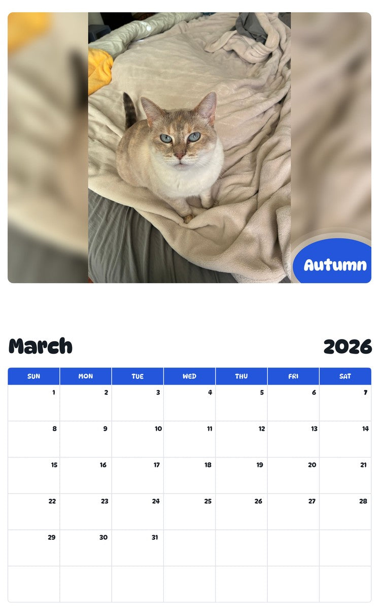 November 2025 - October 2026 Autumn - Pawidols Pet Calendar