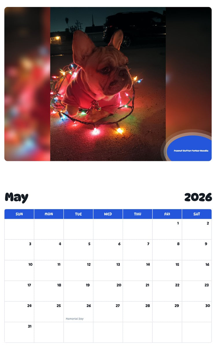 2026 - 2027 Peanut Butter Porker Noodle - Pawidols Pet Calendar