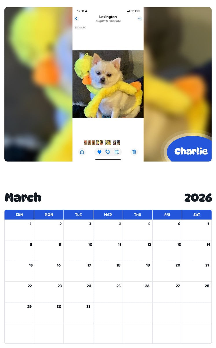 November 2025 - October 2026 Charlie - Pawidols Pet Calendar
