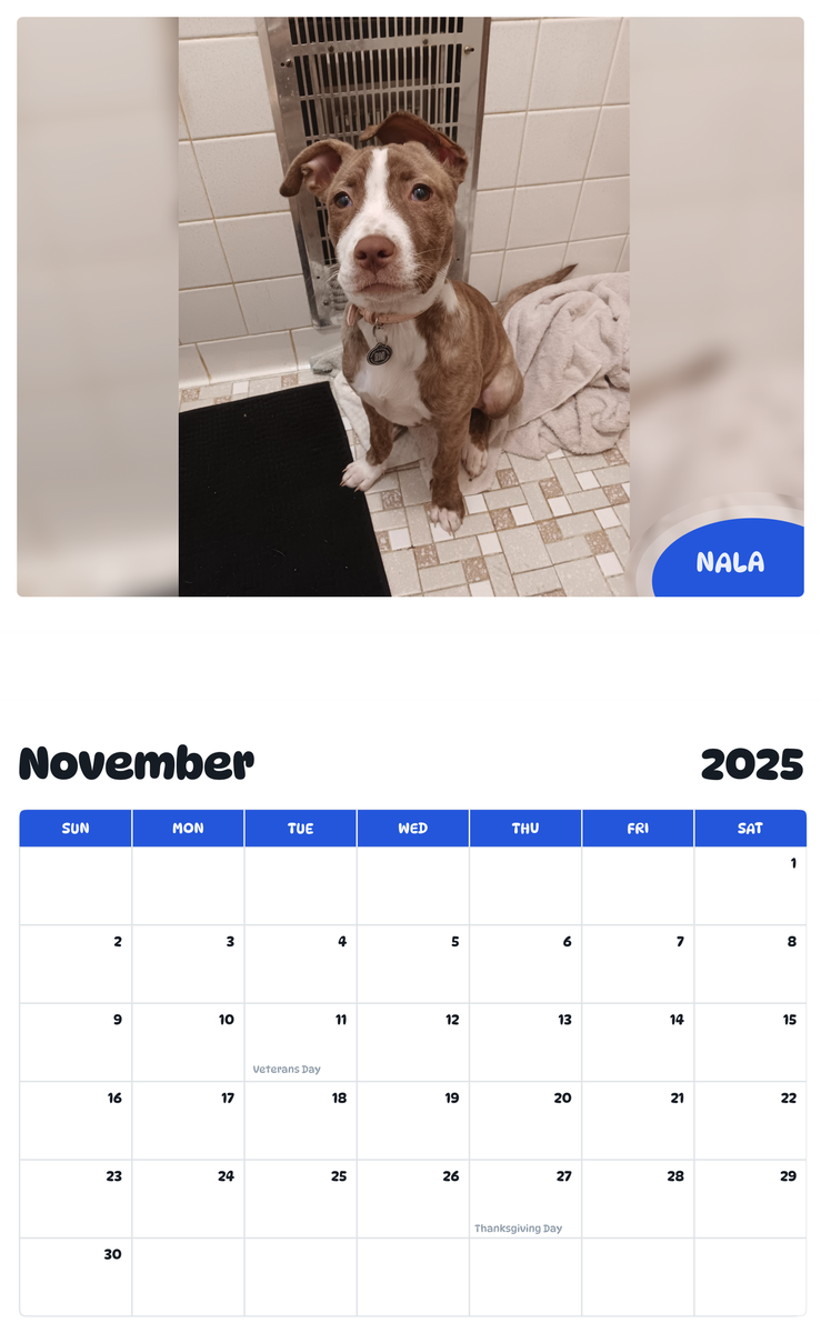 July 2025 - June 2026 Nala - Pawidols Pet Calendar