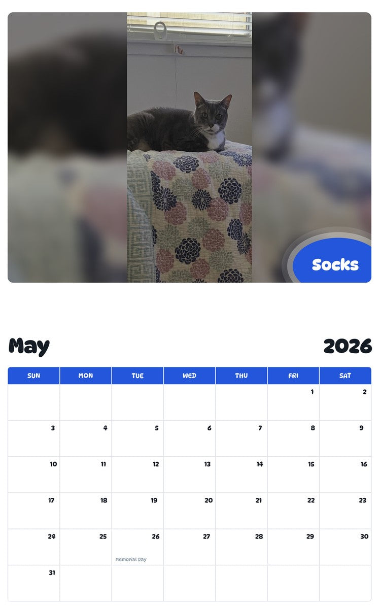 2026 - 2027 Socks - Pawidols Pet Calendar