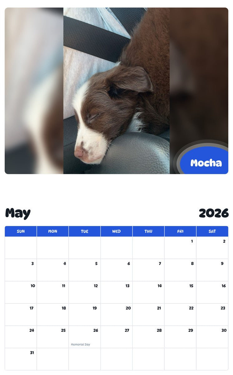 2026 - 2027 Mocha - Pawidols Pet Calendar