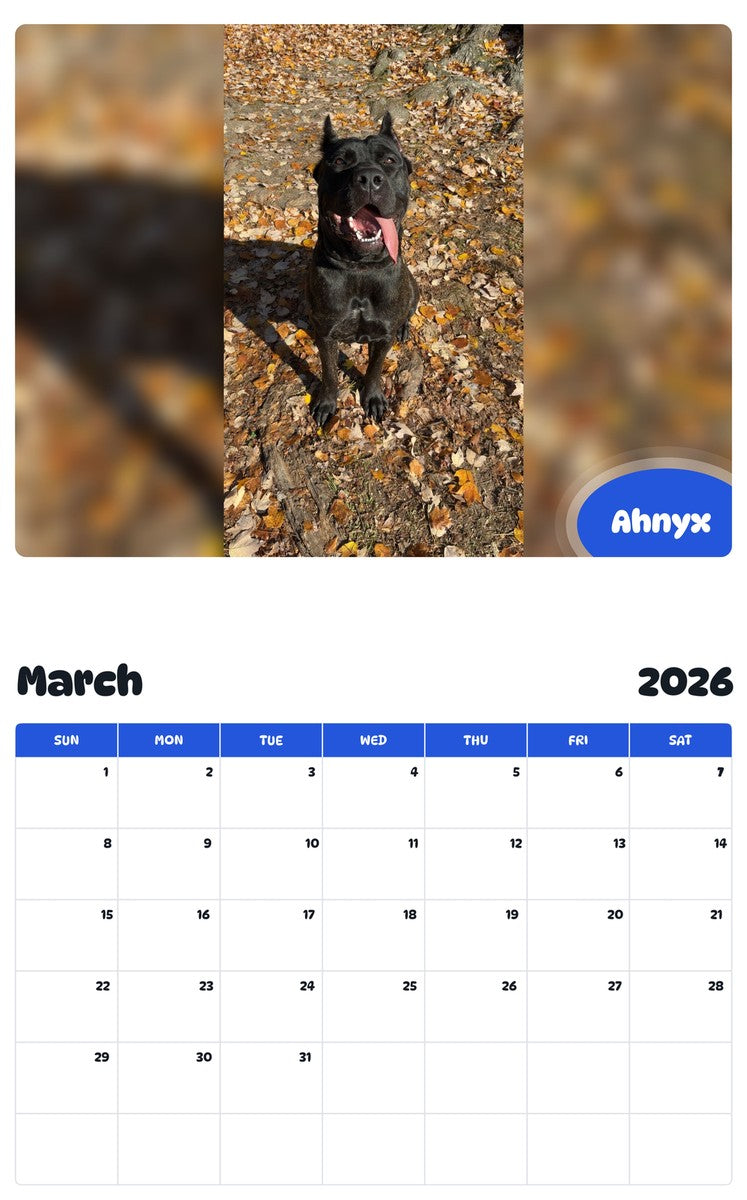 November 2025 - October 2026 Ahnyx - Pawidols Pet Calendar