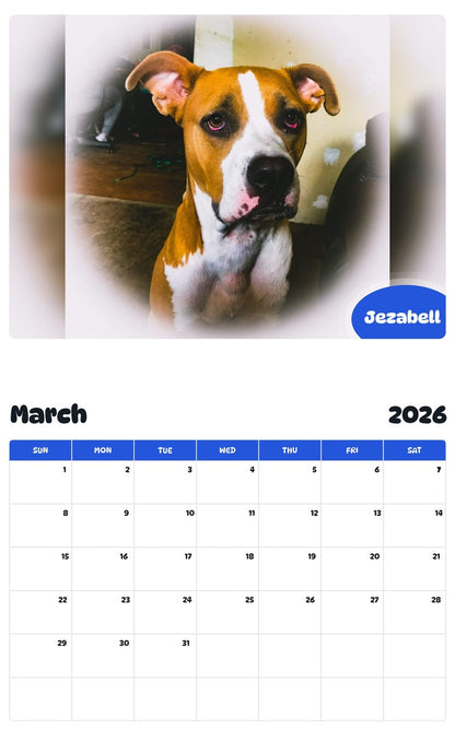 November 2025 - October 2026 Jezabell - Pawidols Pet Calendar