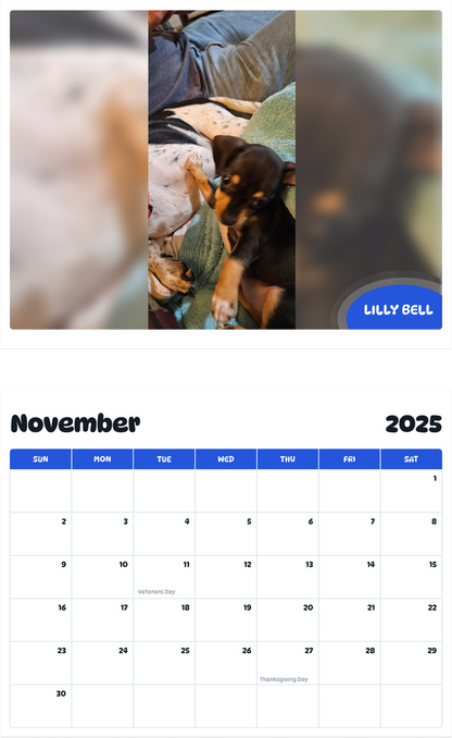 July 2025 - June 2026 Lilly bell - Pawidols Pet Calendar