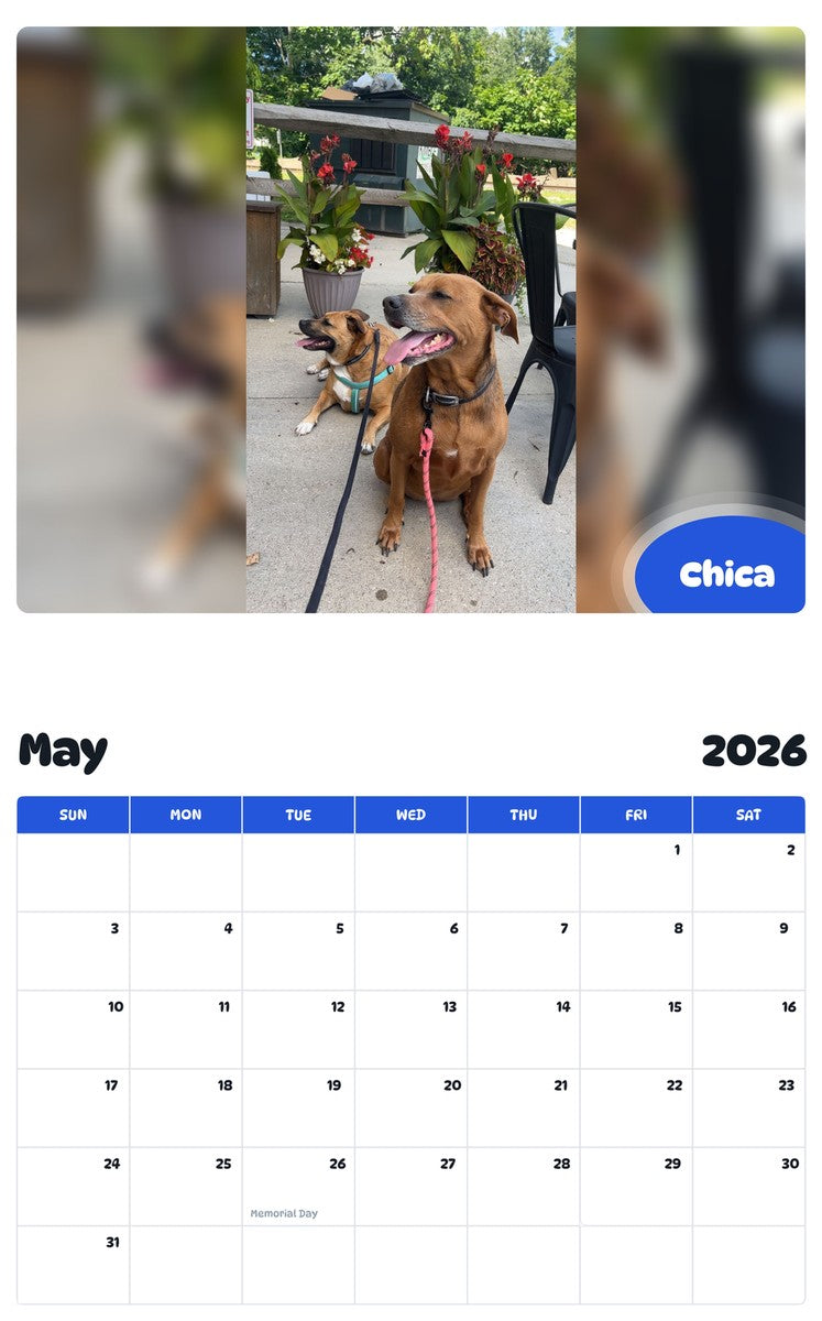 2026 - 2027 Chica - Pawidols Pet Calendar