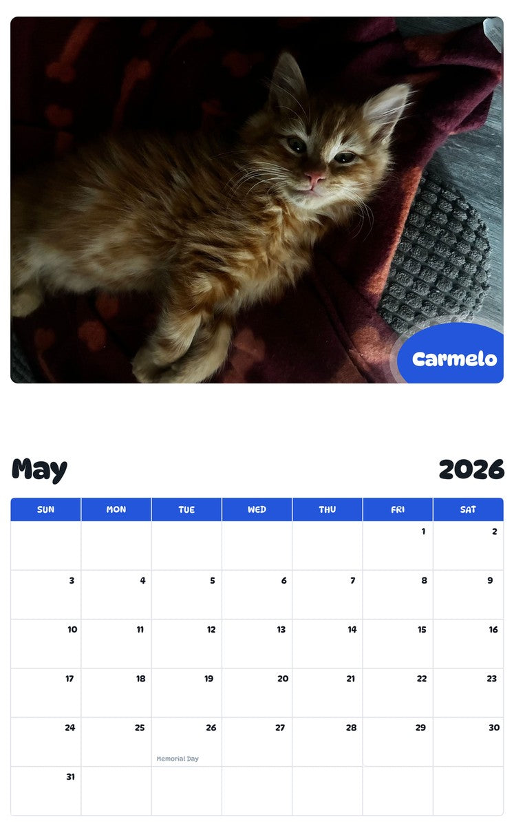2026 - 2027 Carmelo - Pawidols Pet Calendar