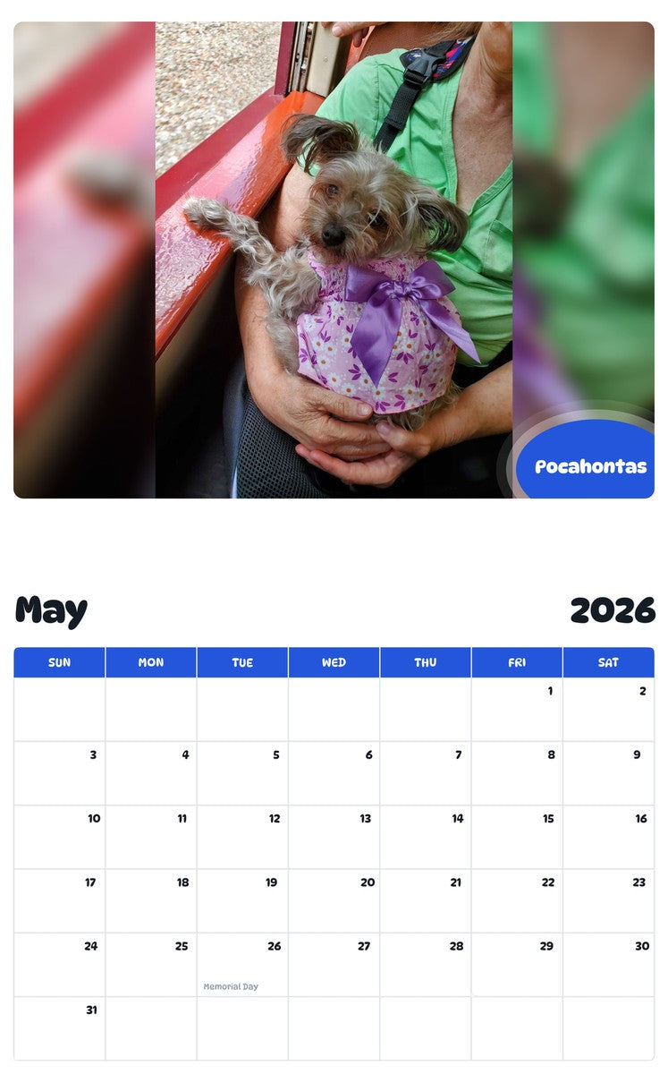 2026 - 2027 Pocahontas - Pawidols Pet Calendar