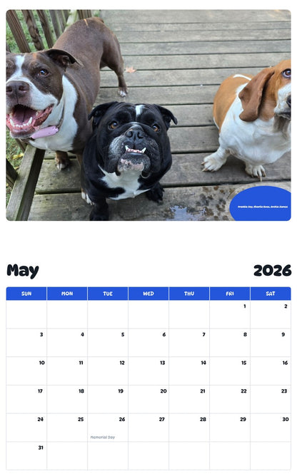 2026 - 2027 Frankie Jay, Charlie Rose, Archie James - Pawidols Pet Calendar