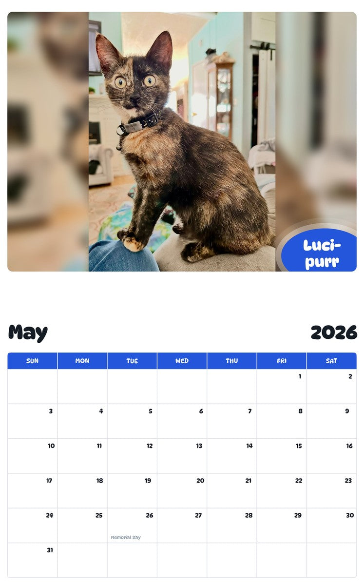 2026 - 2027 Luci-purr - Pawidols Pet Calendar