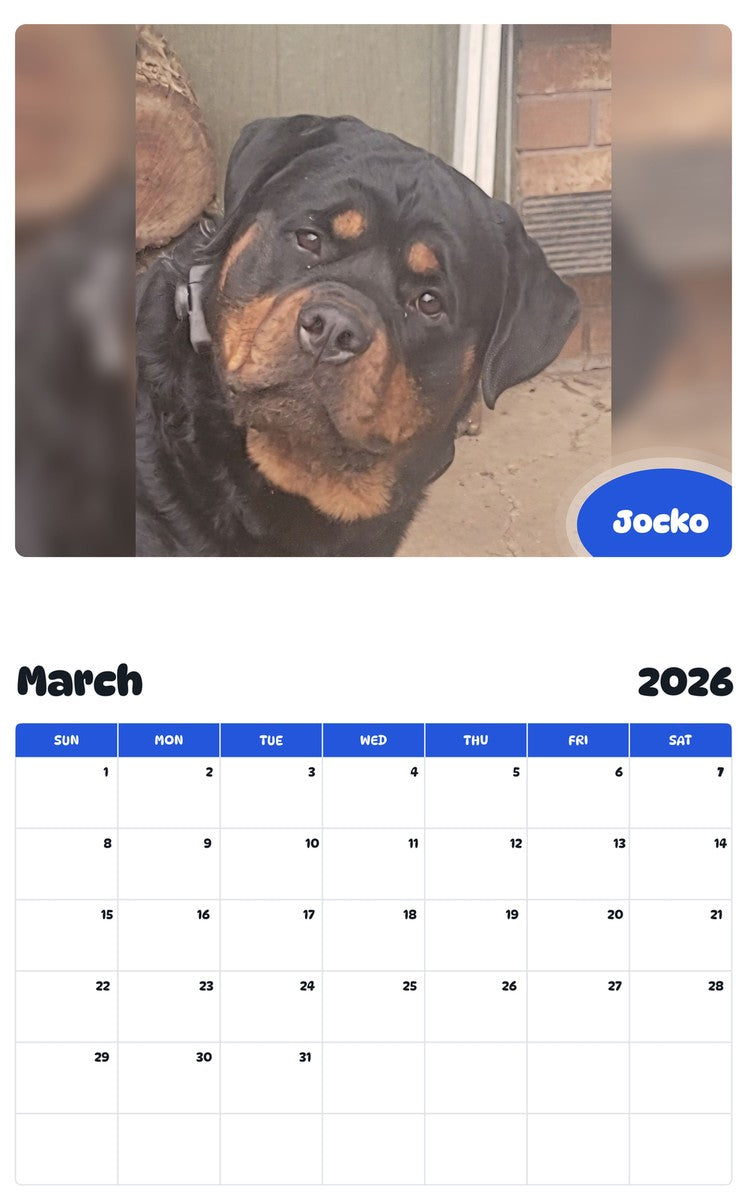 November 2025 - October 2026 Jocko - Pawidols Pet Calendar
