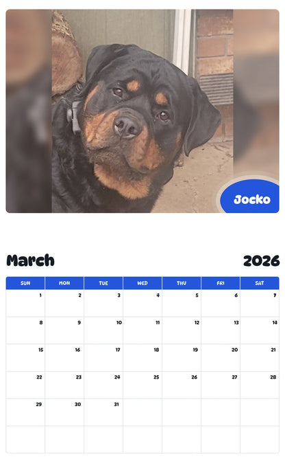 November 2025 - October 2026 Jocko - Pawidols Pet Calendar