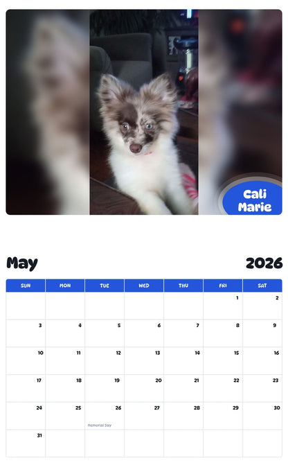 2026 - 2027 Cali Marie - Pawidols Pet Calendar