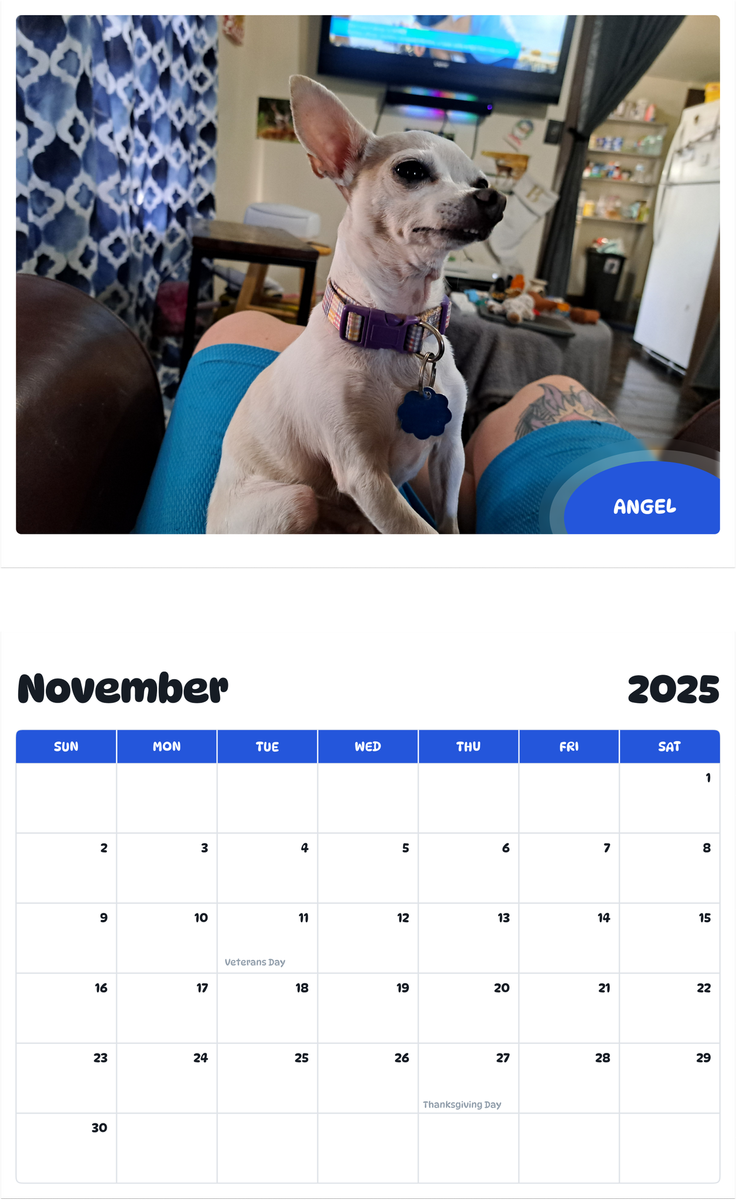 July 2025 - June 2026 Angel - Pawidols Pet Calendar