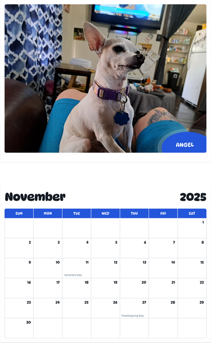 July 2025 - June 2026 Angel - Pawidols Pet Calendar