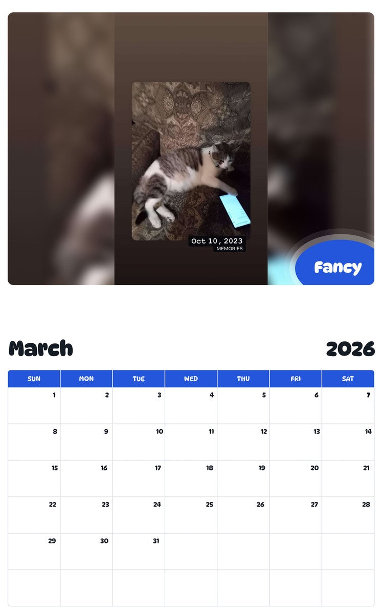 November 2025 - October 2026 Fancy - Pawidols Pet Calendar
