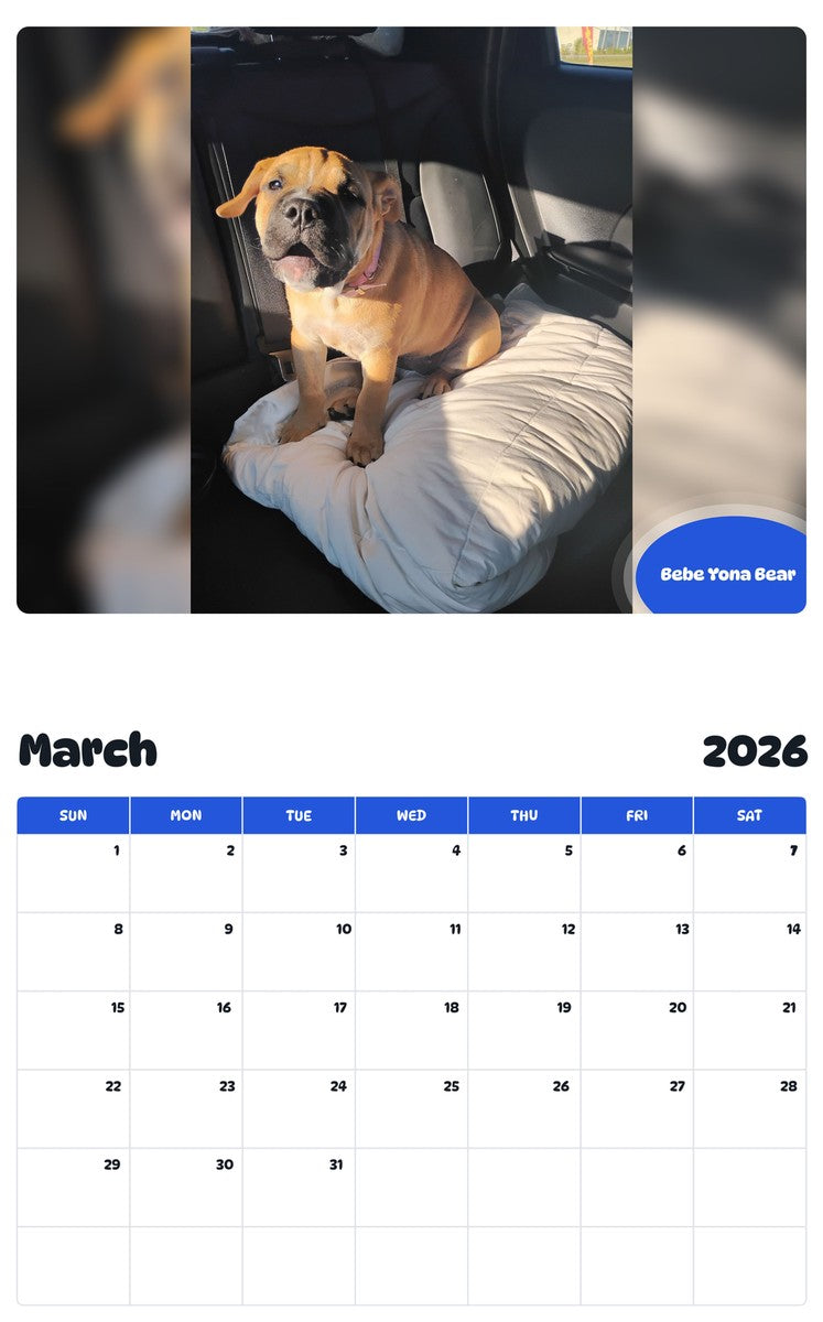 November 2025 - October 2026 Bebe Yona Bear - Pawidols Pet Calendar