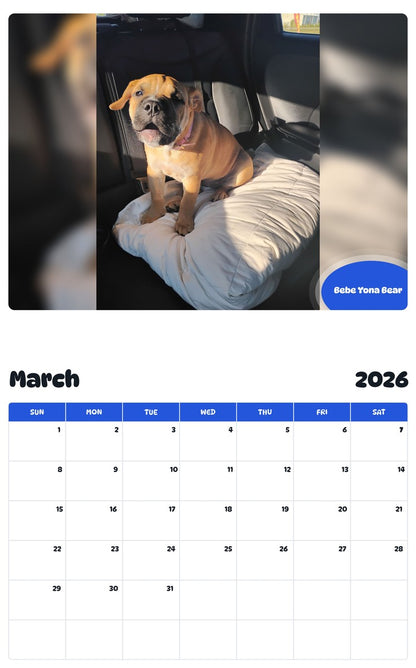November 2025 - October 2026 Bebe Yona Bear - Pawidols Pet Calendar