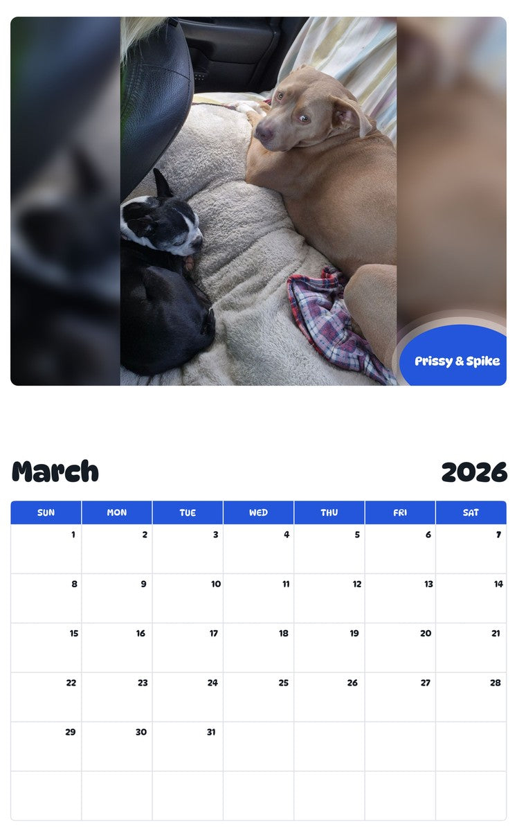 November 2025 - October 2026 Prissy & Spike - Pawidols Pet Calendar
